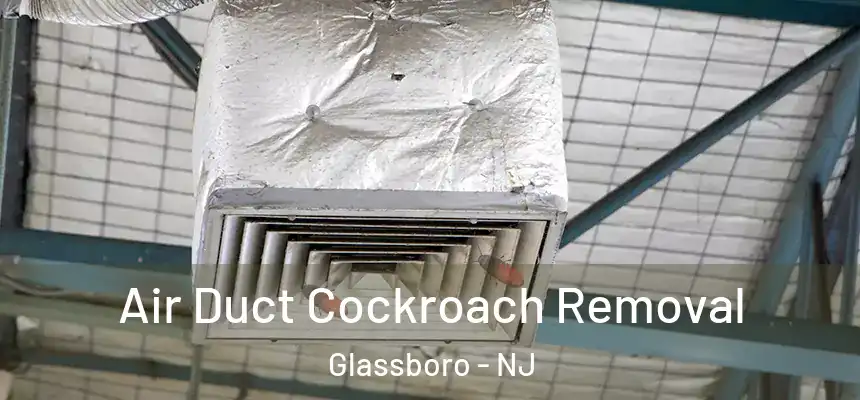  Air Duct Cockroach Removal Glassboro - NJ