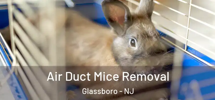 Air Duct Mice Removal Glassboro - NJ