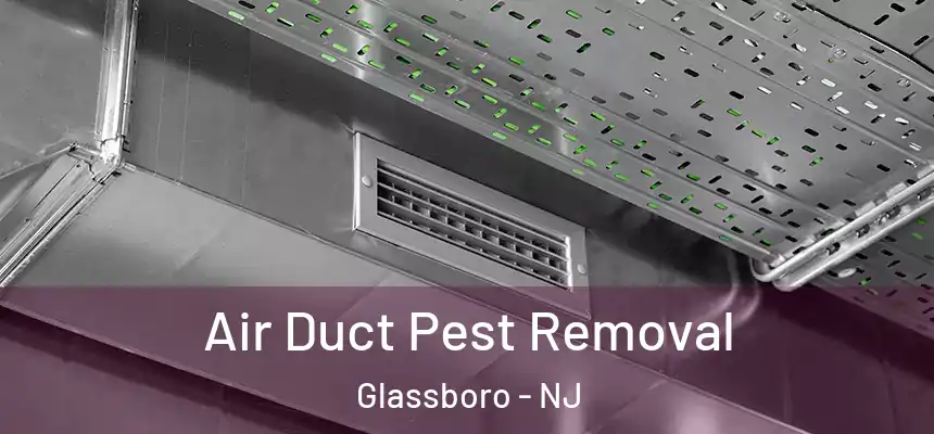 Air Duct Pest Removal Glassboro - NJ