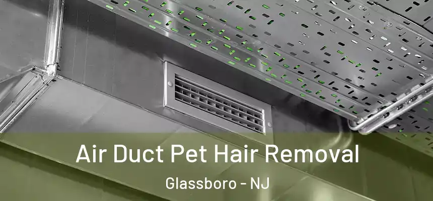  Air Duct Pet Hair Removal Glassboro - NJ