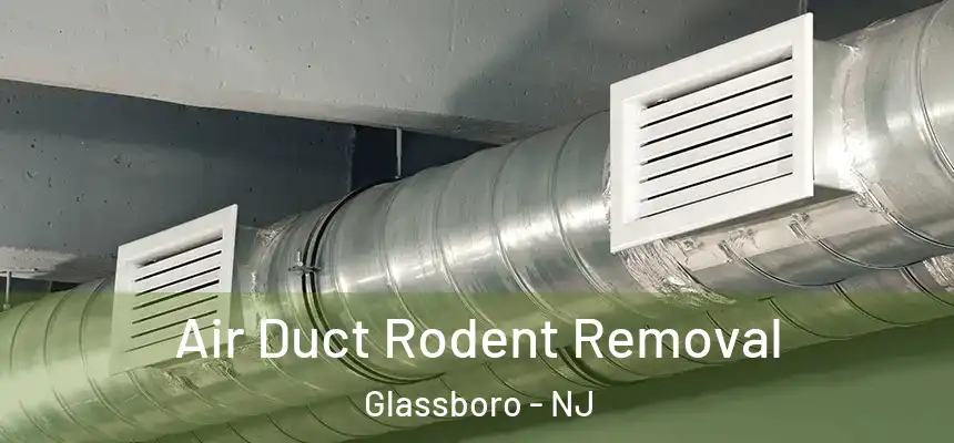 Air Duct Rodent Removal Glassboro - NJ