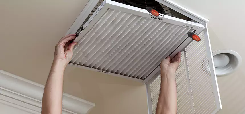 Preventive Cockroach-Proofing for Ducts in Glassboro