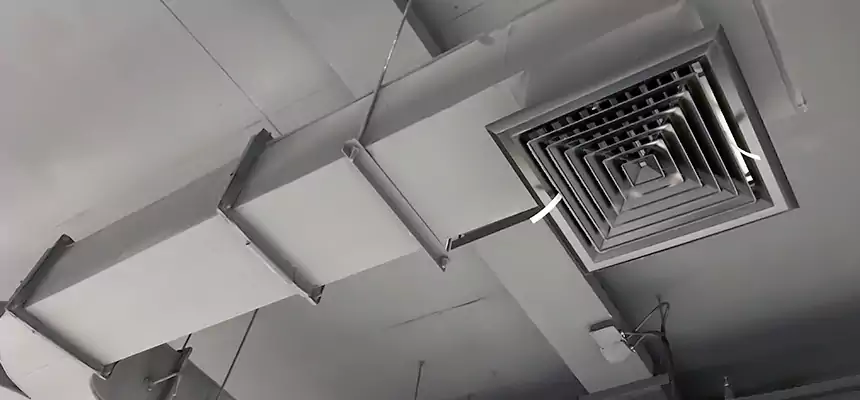 Restorative Allergy Relief Vent Cleaning – Coil, Blower & Housing Detail in Glassboro