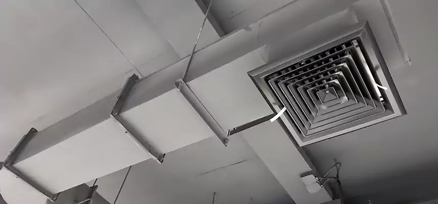 Our Pest Removal From Ducts Services in Glassboro, NJ