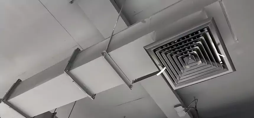 Our Rodent Droppings In Vents Services in Glassboro, NJ