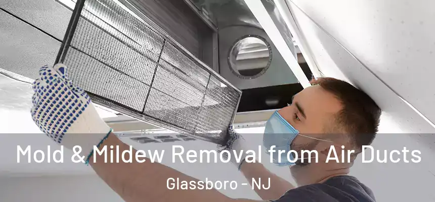 Mold & Mildew Removal from Air Ducts Glassboro - NJ
