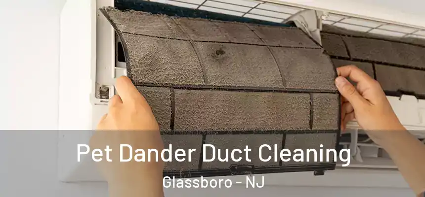 Pet Dander Duct Cleaning Glassboro - NJ