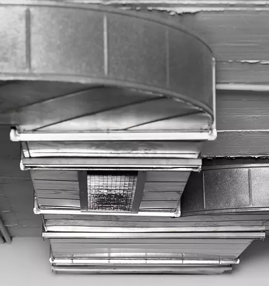 Professional Air Duct Pest Removal in Glassboro, NJ