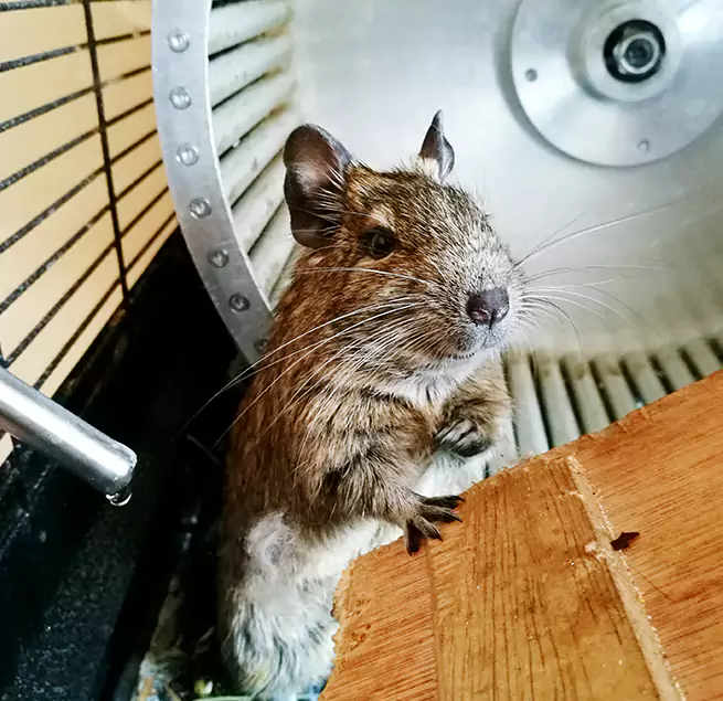 Why Homeowners & Businesses Trust Us Glassboro, NJ